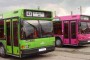 Programul autobuzelor de Revelion in Constanta